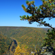 Illustration for article titled Fall Photos 2